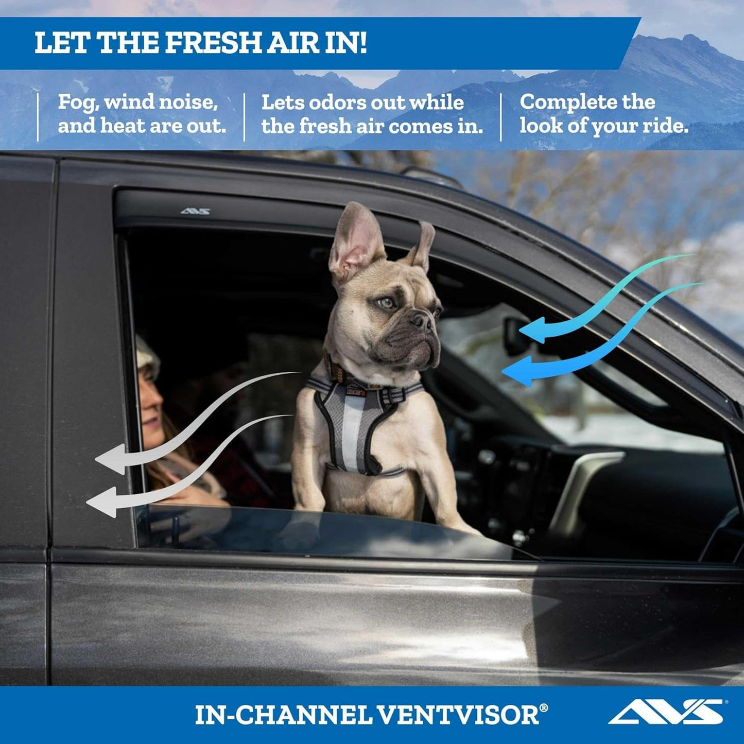 Auto Ventshade [] In-Channel Rain Guards for 1999 - 2007 Mazda B3000; 1999 - 2009 Mazda B4000 Extended Cab; 1999 - 2011 Ford Ranger, SUPERCAB ONLY | Window Vent Visors, 2 Pcs. - Smoke | 192083